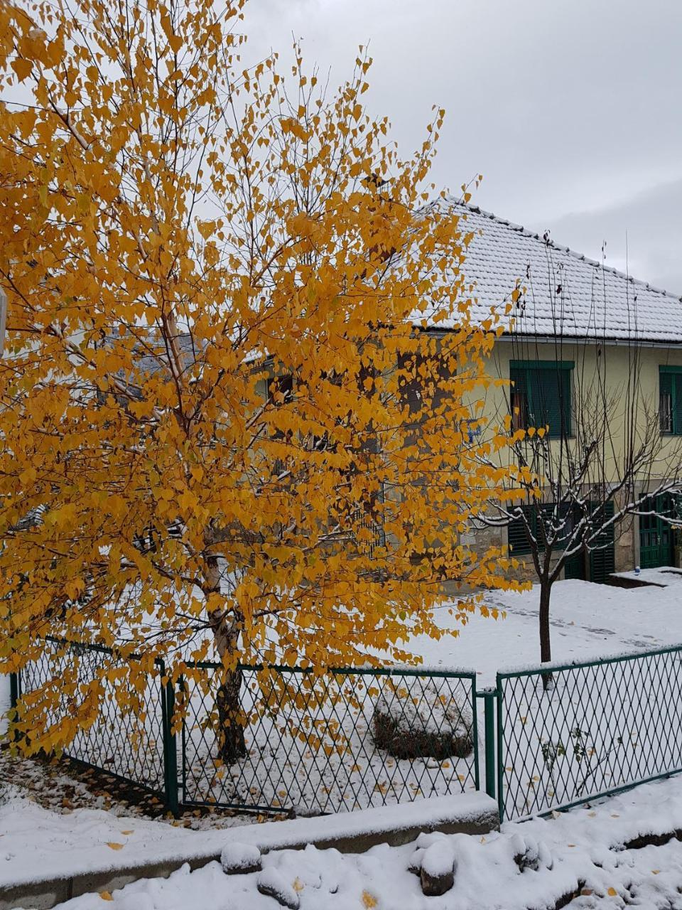 Apartment Center Kolašin Exterior foto